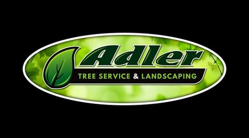 Adler Tree Service & Landscaping